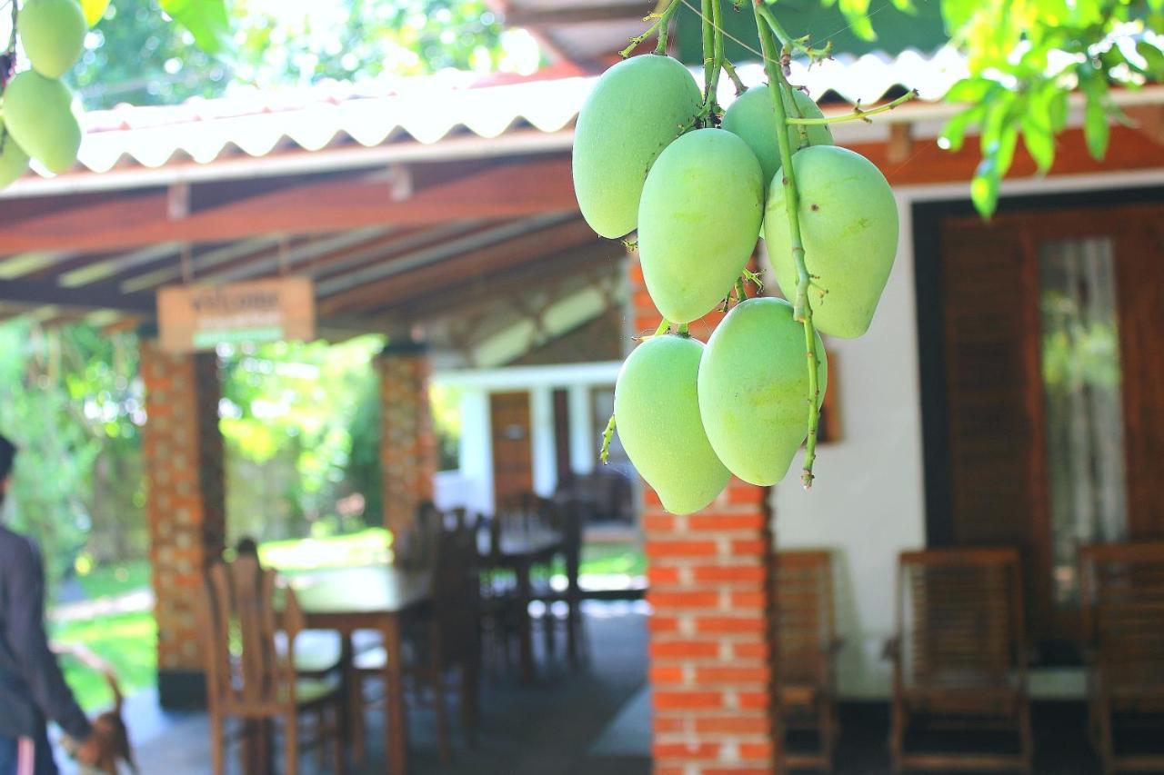 Green Cottage Анурадхапура Экстерьер фото