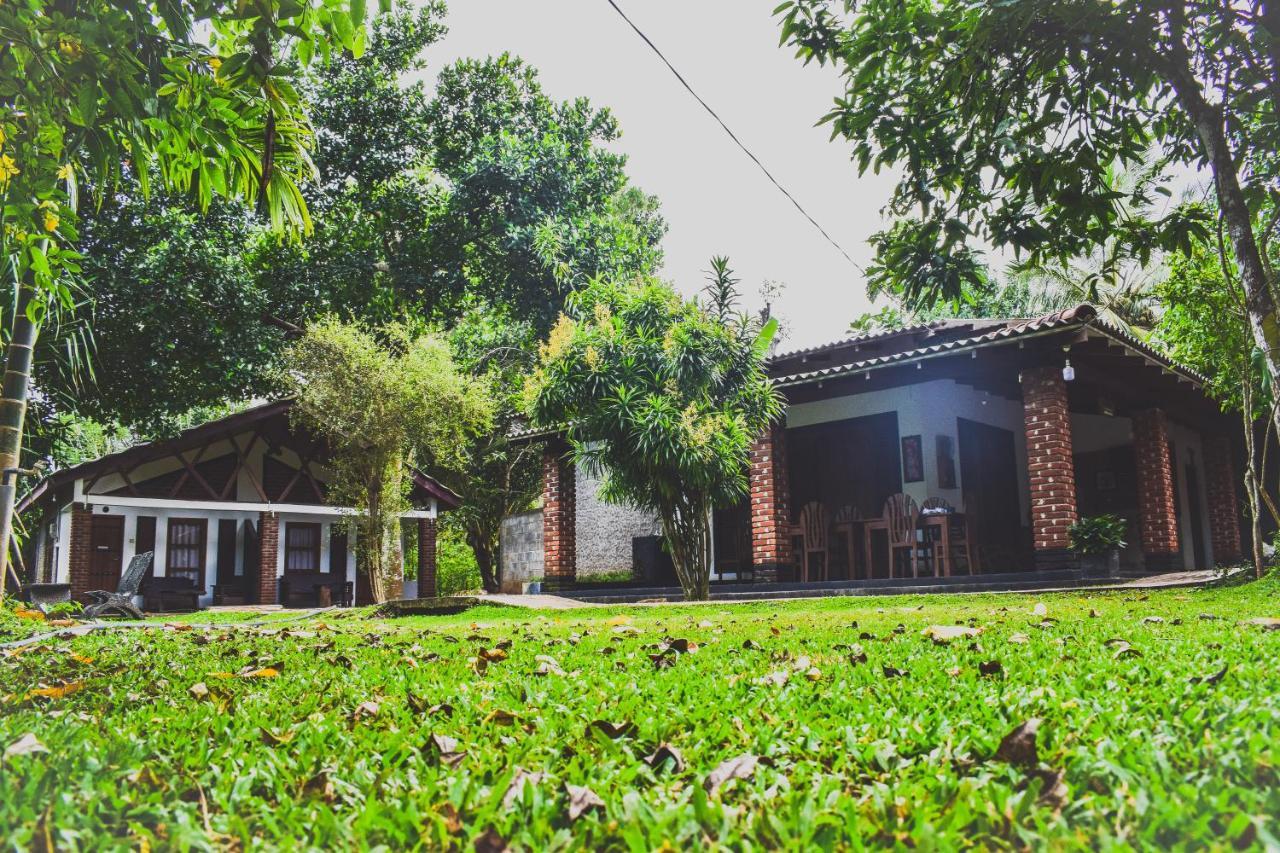 Green Cottage Анурадхапура Экстерьер фото